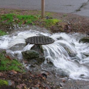 MGSFlood Training Seminar (annual license holder)
