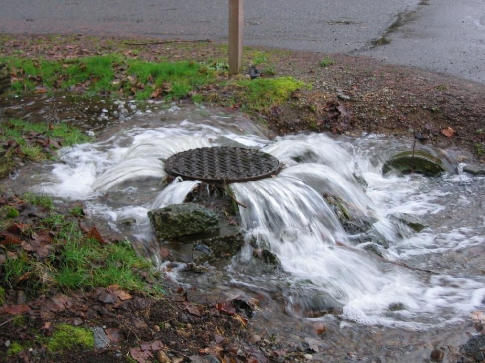 MGSFlood Training Seminar (Non license holder)
